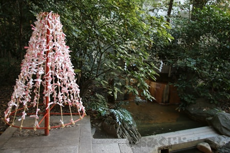 生田神社（兵庫県神戸市）のおみくじ掛け