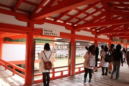 厳島神社 おみくじ掛けの様子