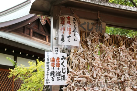 住吉大社 おみくじ掛けアップ 掲示の様子