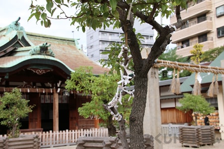 今宮戎神社 おみくじ 結ぶ場所（境内樹木）の様子