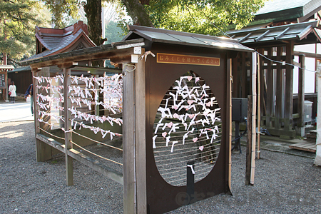 靖国神社 おみくじ掛け プレートの様子