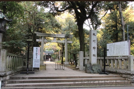 赤坂氷川神社 表鳥居の様子