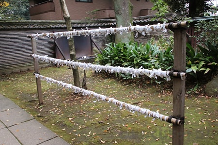 赤坂氷川神社 おみくじ掛けの様子